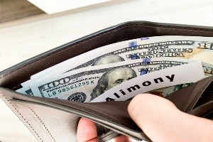are spousal support and alimony the same thing